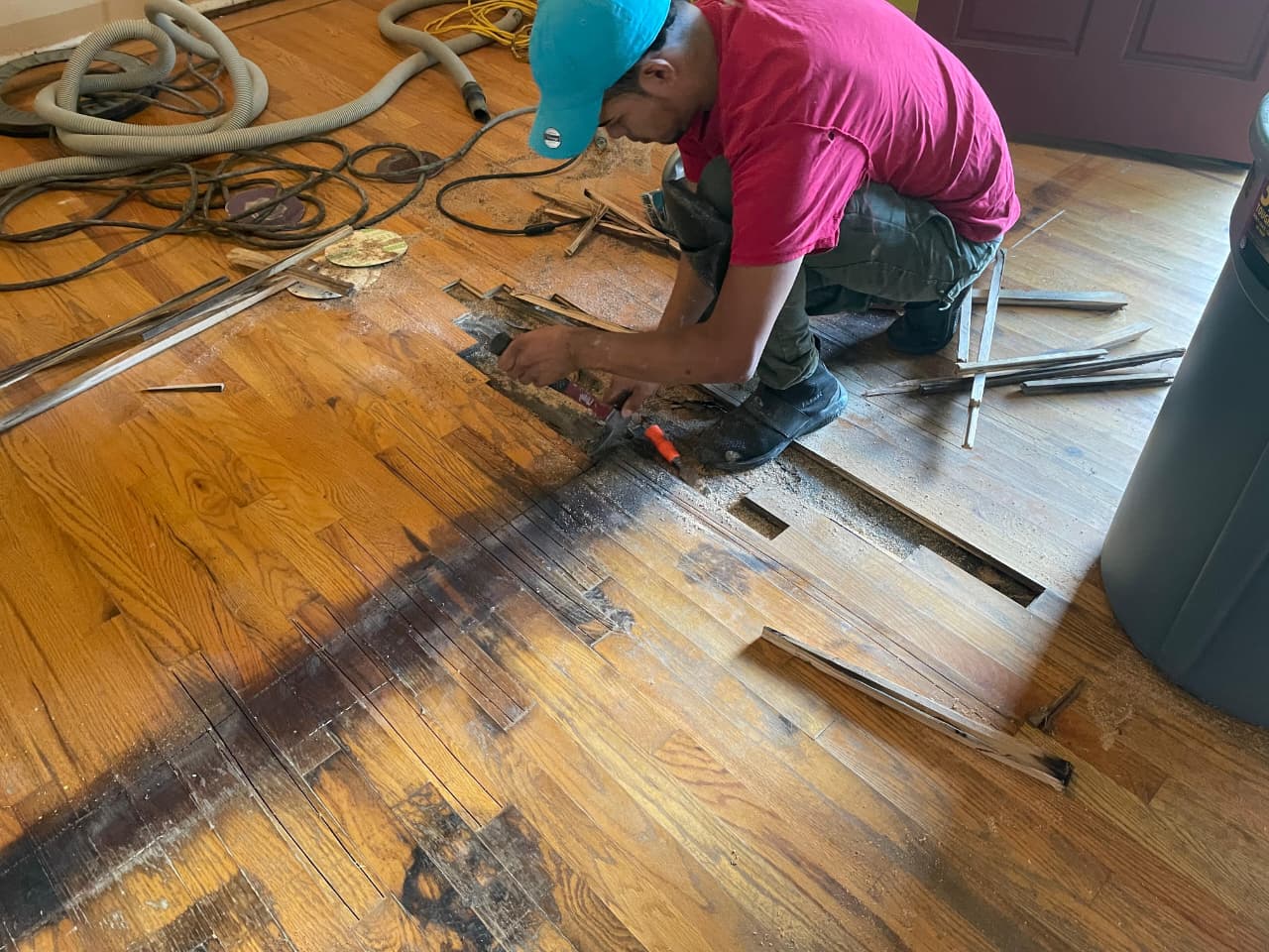 Expert hardwood floor repair — scratches and pet damage restored in Rockford, IL