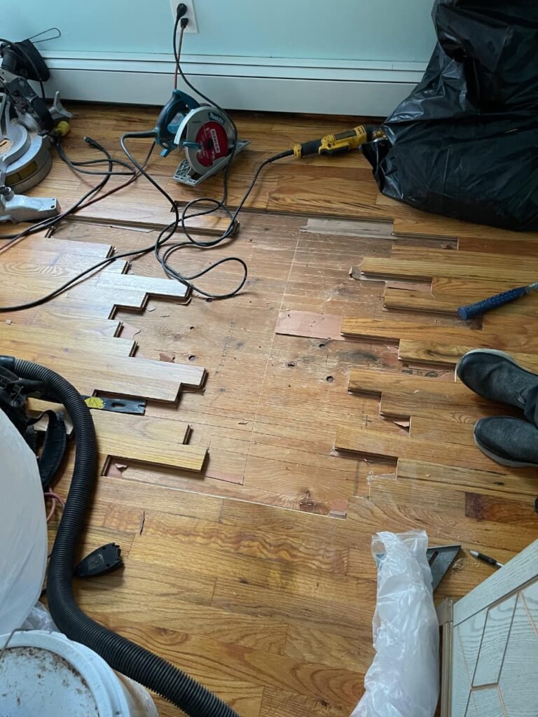 Water and pet damage restoration services in Rockford IL